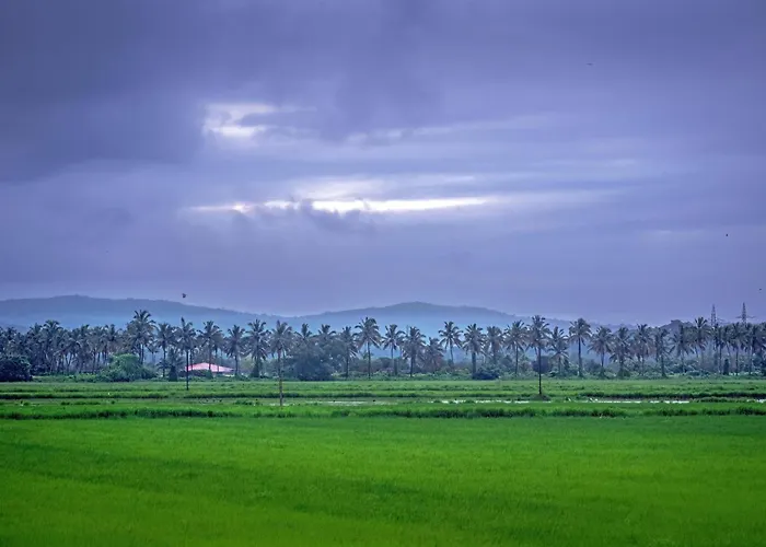 Mansao Curtorim - A Cgh Earth Saha Experience, South Goa